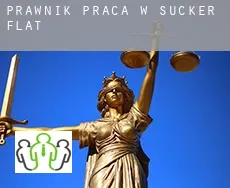 Prawnik praca w Sucker Flat