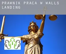 Prawnik praca w  Walls Landing