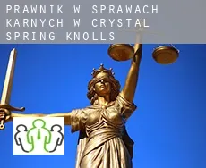 Prawnik w sprawach karnych w  Crystal Spring Knolls