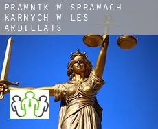 Prawnik w sprawach karnych w  Les Ardillats