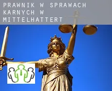 Prawnik w sprawach karnych w  Mittelhattert