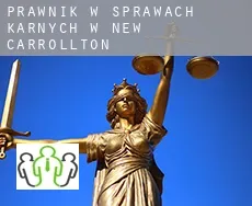 Prawnik w sprawach karnych w  New Carrollton