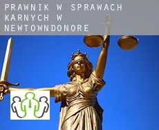 Prawnik w sprawach karnych w  Newtowndonore