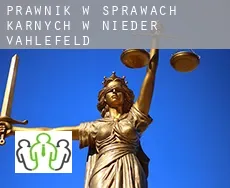 Prawnik w sprawach karnych w  Nieder Vahlefeld