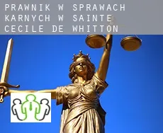 Prawnik w sprawach karnych w  Sainte-Cécile-de-Whitton