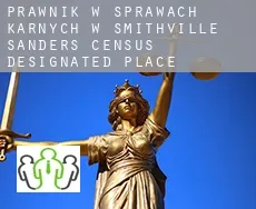 Prawnik w sprawach karnych w  Smithville-Sanders