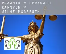 Prawnik w sprawach karnych w Wilhelmsgreuth