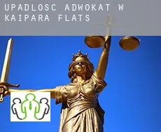 Upadłość adwokat w  Kaipara Flats