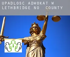 Upadłość adwokat w  Lethbridge County