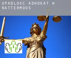 Upadłość adwokat w  Nattermoos