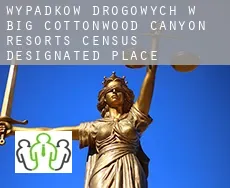 Wypadków drogowych w  Big Cottonwood Canyon Resorts