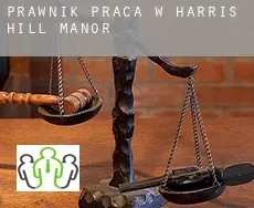 Prawnik praca w  Harris Hill Manor