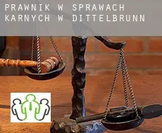 Prawnik w sprawach karnych w Dittelbrunn