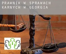 Prawnik w sprawach karnych w  Georgia