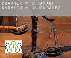 Prawnik w sprawach karnych w  Hohendarme