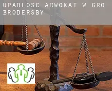 Upadłość adwokat w Groß Brodersby