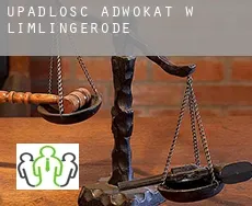 Upadłość adwokat w Limlingerode