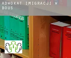 Adwokat imigracji w  Bous