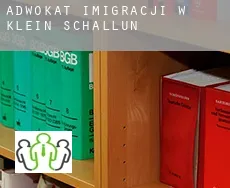 Adwokat imigracji w  Klein Schallun