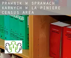 Prawnik w sprawach karnych w  La Pinière (census area)