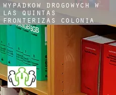 Wypadków drogowych w  Las Quintas Fronterizas Colonia
