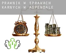 Prawnik w sprawach karnych w  Aspendale