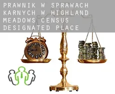 Prawnik w sprawach karnych w  Highland Meadows