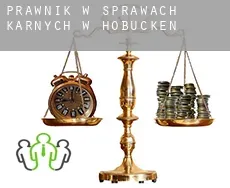 Prawnik w sprawach karnych w  Hobucken
