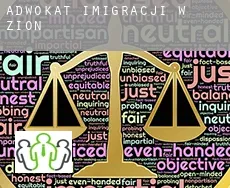 Adwokat imigracji w Zion