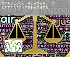 Upadłość adwokat w  Sterbeckerhammer