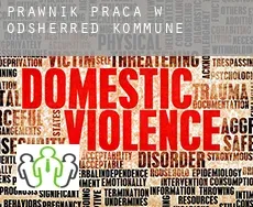 Prawnik praca w  Odsherred Kommune