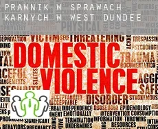 Prawnik w sprawach karnych w  West Dundee