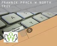 Prawnik praca w  North Troy