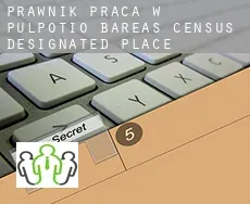 Prawnik praca w  Pulpotio Bareas