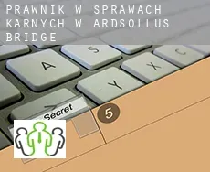 Prawnik w sprawach karnych w  Ardsollus Bridge
