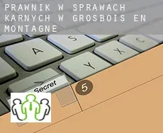 Prawnik w sprawach karnych w  Grosbois-en-Montagne