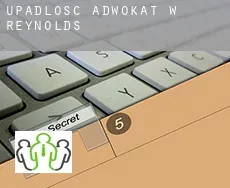 Upadłość adwokat w  Reynolds