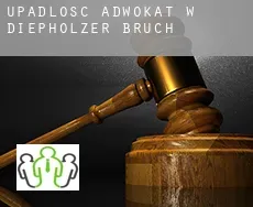 Upadłość adwokat w  Diepholzer Bruch