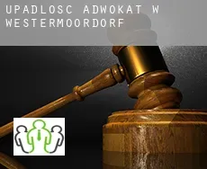 Upadłość adwokat w  Westermoordorf