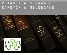 Prawnik w sprawach karnych w  Milnesand