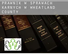 Prawnik w sprawach karnych w  Wheatland County