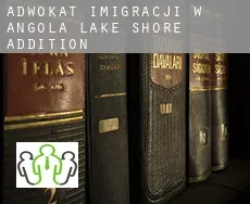 Adwokat imigracji w  Angola Lake Shore Addition