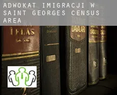 Adwokat imigracji w  Saint-Georges (census area)