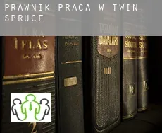 Prawnik praca w  Twin Spruce