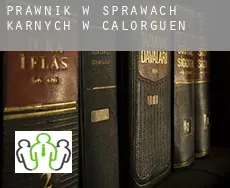 Prawnik w sprawach karnych w  Calorguen