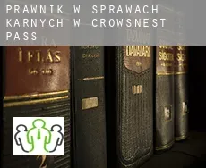 Prawnik w sprawach karnych w  Crowsnest Pass