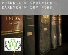 Prawnik w sprawach karnych w  Dry Fork