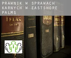 Prawnik w sprawach karnych w  Eastshore Palms