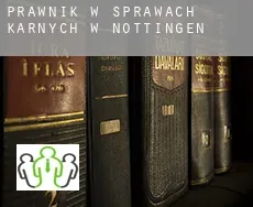 Prawnik w sprawach karnych w  Nöttingen