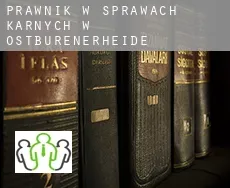 Prawnik w sprawach karnych w  Ostbürenerheide